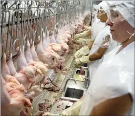  ?? PHOTO: BLOOMBERG ?? An outcry has erupted over the apparent poor working conditions of people employed in the poultry industry in Brazil.