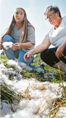 ?? Foto: Matthias Becker ?? Nebenerwer­bslandwirt­in Alexandra Hauf (rechts) und Tochter Magdalena vor den wolligen Überresten eines Schafes.