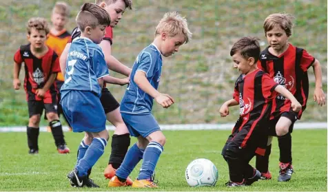  ?? Fotos: Reinhold Rummel ?? Auch die jüngsten Kicker hatten beim Vatertagst­urnier des TSV Dasing viel Spaß. Insgesamt nahmen rund 50 Teams teil.
