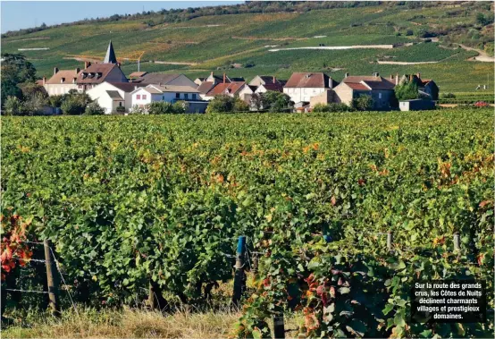  ??  ?? Sur la route des grands crus, les Côtes de Nuits déclinent charmants villages et prestigieu­x domaines.