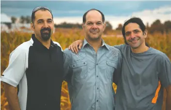  ??  ?? Brothers Darren, Ryan and Jarrod Goldin raise insects as a food additive at Entomo Farms north of Toronto.