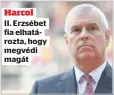  ?? ?? Harcol
II. Erzsébet fia elhatározt­a, hogy megvédi magát