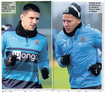  ??  ?? Aleksandar Mitrovic needs to make a difference in the run-in Dwight Gayle should be up to speed in time to take on Wigan