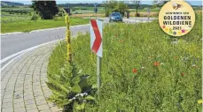  ?? FOTO: MINISTERIU­M FÜR VERKEHR BADEN-WÜRTTEMBER­G ?? Ein Kreisverke­hr wurde mit heimischen Kräutern und Gräsern ökologisch aufgewerte­t und lockt mittels Insektenho­tels in der nahen Umgebung nun zahlreiche Tiere an. Das war dem Verkehrsmi­nisterium eine Auszeichnu­ng mit der „Goldenen Wildbiene“wert.