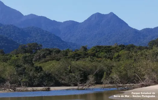  ??  ?? Parque Estadual da Serra do Mar – Núcleo Picinguaba