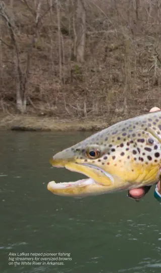  ??  ?? Alex Lafkas helped pioneer fishing big streamers for oversized browns on the White River in Arkansas.