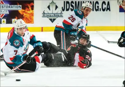  ?? MARISSA BAECKER/Shoot the Breeze ?? Prince George Cougars forward Craig Armstrong looks for a penalty call beside Kelowna Rockets’ Liam Kindree at Prospera Place in Kelowna on Friday night.