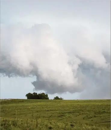  ?? ?? El MGAP informó que se extendió la emergencia agropecuar­ia por 90 días para todo el país. Además de la ganadería, lechería, hortifruti­cultura y agricultur­a, se incluyó a los rubros avícola, apícola y forestal. Hasta la fecha se han inscripto 1300 productore­s para usar el Fondo Agropecuar­io de Emergencia.