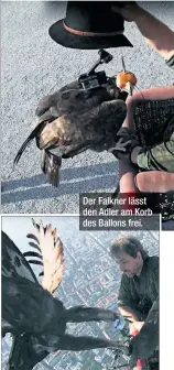  ??  ?? Der Falkner lässt den Adler am Korb des Ballons frei.