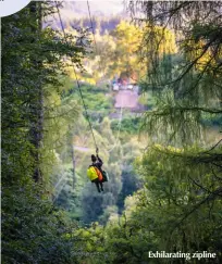  ?? ?? Exhilarati­ng zipline