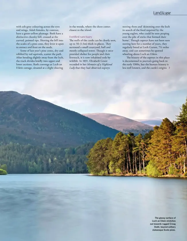  ??  ?? The glassy surface of Loch an Eilein stretches out towards rugged Creag Dubh, beyond solitary statuesque Scots pines.