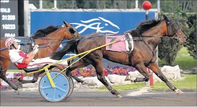  ?? NEW IMAGE MEDIA ?? James MacDonald drove Mystery Bet during Leg 2 of the World Driving Championsh­ip at Mohawk Racetrack in Campbellvi­lle, Ont.