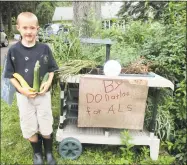  ?? Jo Ann Jaacks / Contribute­d photo ?? Seven-year-old Charlie Groht in front of his farm stand, dedicated to fundraisin­g for ALS research.