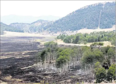  ?? Keith R. Cerny ?? Charred land from the Spring Fire is shown during a tour of the wildfire Tuesday near Fort Garland, Colo. The Associated Press