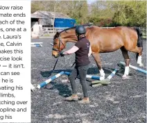  ??  ?? Now raise alternate ends of each of the poles, one at a time. Laura’s horse, Calvin G, makes this exercise look easy — it isn’t. You can see how he is activating his hindlimbs, stretching over his topline and lifting his