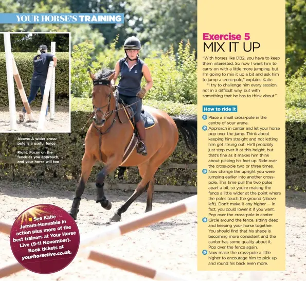  ??  ?? Above: A wider crosspole is a useful fenceRight: Focus on the fence as you approach, and your horse will too See Katie in Hunnable Jerram- the more of action plus at Your Horse best trainers er). Novemb Live (9-11 at Book tickets uk. elive.co. yourhors