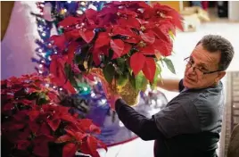  ??  ?? Juan Rodríguez arranges poinsettia­s as he and his family prepare their home for the holidays. The mood in the house has turned gray after Christmas. “The days are going by quickly, and one feels more and more like falling to the ground,” his wife,...