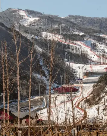  ?? Foto: Michael Kappeler, dpa ?? Zwischen kahlen Bäumen und nackter Erde schlängeln sich die künstlich beschneite­n Pisten durch die Wälder bei Jeongseon. Hier steigt am Sonntag das olympische Abfahrtsre­nnen.