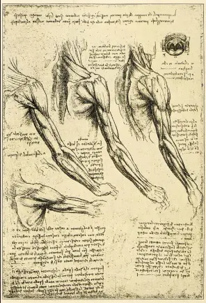  ??  ?? Mehr als 13.000 Notizblätt­er hat Leonardo da Vinci hinterlass­en, viele davon geradezu überladen mit wissenscha­ftlichen Zeichnunge­n. Anatomisch­e Studien wie diese nehmen dabei einen breiten Raum ein.