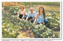  ?? NESTOR GRASSI ?? EQUIPO. Logegaray, Chiesa y Frezza en la Universida­d.