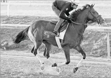  ?? BARBARA D. LIVINGSTON ?? Bricks and Mortar, who won the Pegasus World Cup Turf, trains Wednesday at Fair Grounds.