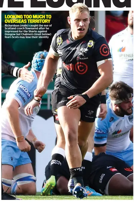  ?? ?? LOOKING TOO MUCH TO OVERSEAS TERRITORY Richardson (main) caught the eye of Scotland coach Townsend after he impressed for the Sharks against Glasgow but Chalmers (inset below) fears Scots may lose their identity