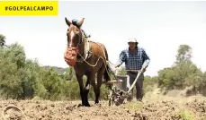  ??  ?? Problema. Los productore­s del campo ven con preocupaci­ón que se le invertirá poco al sector.