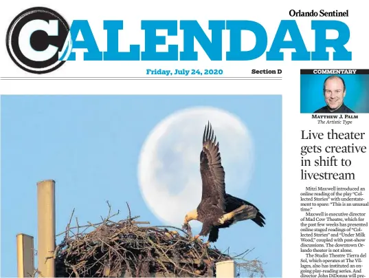  ?? RED HUBER/ORLANDO SENTINEL 2012 ?? A bald eagle holds prey in its beak as a waning gibbous moon sets in the western sky of Sanford, Florida. “This is a new discovered nest. The nesting pair of eagles either have eggs or young eaglets,” said Lynda White, Eaglewatch Coordinato­r Audubon of Florida.