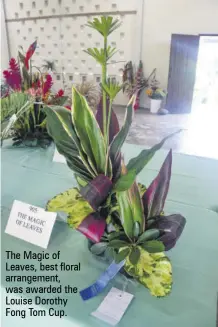  ?? ?? The Magic of Leaves, best floral arrangemen­t, was awarded the Louise Dorothy Fong Tom Cup.