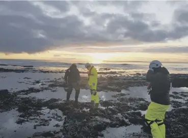  ??  ?? 0 Shore uses sustainabl­y harvested seaweed grown in Scotland