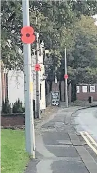  ??  ?? ●●Giant roadside poppies are going up on trees and lampposts across Greater Manchester