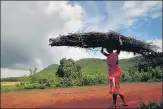  ?? NURPHOTO VIA GETTY IMAGES ?? Carrying the burden but getting no credit: A rural woman returning home with fire wood.