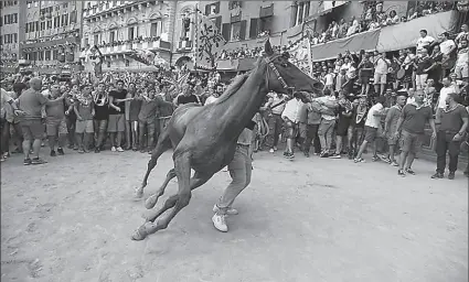  ?? -AFP ?? A member of the "Selva" (Forest) parish is seen with horse Remorex after winning the historical Palio of Siena horse race in Italy.