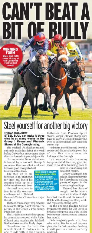  ??  ?? WINNING FORM Steel Bull (left) takes victory at the Goodwood Festival last month