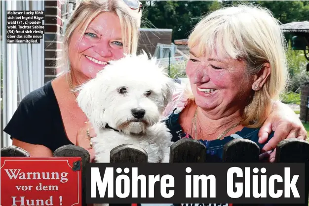  ??  ?? Malteser Lucky fühlt sich bei Ingrid Hägewald (71, r.) pudelwohl. Tochter Sabine (54) freut sich riesig über das süße neue Familienmi­tglied.