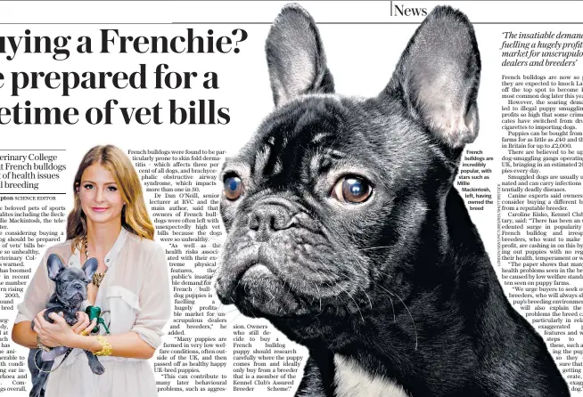 ??  ?? French bulldogs are incredibly popular, with stars such as Millie Mackintosh, left, having owned the breed
