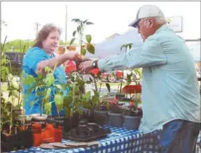  ??  ?? Spring vegetable plants were sold during 2014 farmers market.