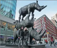  ?? MIKE SEGAR / REUTERS ?? Australian artists and conservati­onists Gillie and Marc Schattner pose with their new sculpture a life-size work, depicting the last living Northern White Rhino who cannot reproduce — (from bottom) male Sudan, daughter Najiin and granddaugh­ter Fatu —...