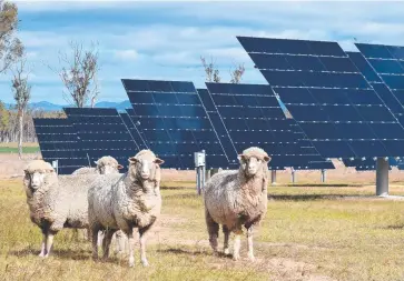  ?? Picture: SUPPLIED ?? SUNNY PROSPECTS: Many farmers would likely love a solar farm instead of parched soils.