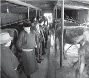  ??  ?? Speaker M.Enkhbold visits a cow milk dairy
farm in Batsumber soum