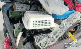  ??  ?? Conos de plástico y jaulas en las que fueron transporta­das las aves.