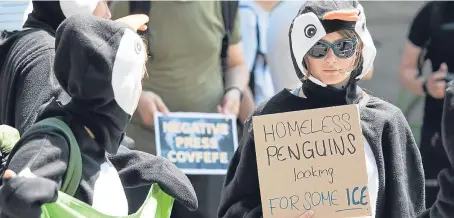  ?? Picture: AP. ?? Greenpeace activists dressed as penguins hold a sign “Homeless penguins looking for some ice” in protest at the US government’s exit from the Paris climate deal at the US Embassy in Bern, Switzerlan­d.