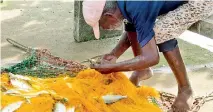  ?? ?? K.A. Mihinda shows his catch.
Pix by Priyanka Samaraweer­a