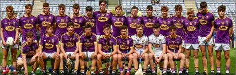  ??  ?? Last year’s Leinster-winning Wexford Minor hurling squad. The survivors face a tough defence of their title in the knockout semi-final.