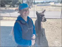  ?? RICH FREEDMAN — TIMES-HERALD ?? “Famer” Rita LeRoy with Jojo, a 5-year-old alpaca at Loma Vista Farm in north Vallejo. The animal sanctuary is open 9 to 2:30 p.m. Monday through Friday.