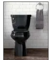  ??  ?? Kohler offers Kohler
more than 30 toilet options in black, including this Cimarron toilet.