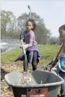  ??  ?? Wearing big work gloves and bearing a mulch rake, New Hope student Chloe Johnson gives farming her best effort