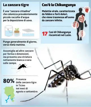  ?? INFOGRAFIC­A LAREGIONE ?? Una presenza sempre più ingombrant­e