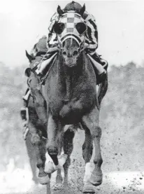  ?? FILE ?? Secretaria­t and jockey Ron Turcotte come to the finish line in the 98th running of the Preakness Stakes in 1973.