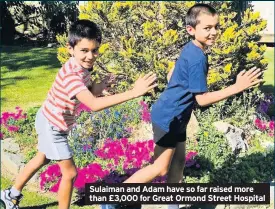  ??  ?? Sulaiman and Adam have so far raised more than £3,000 for Great Ormond Street Hospital